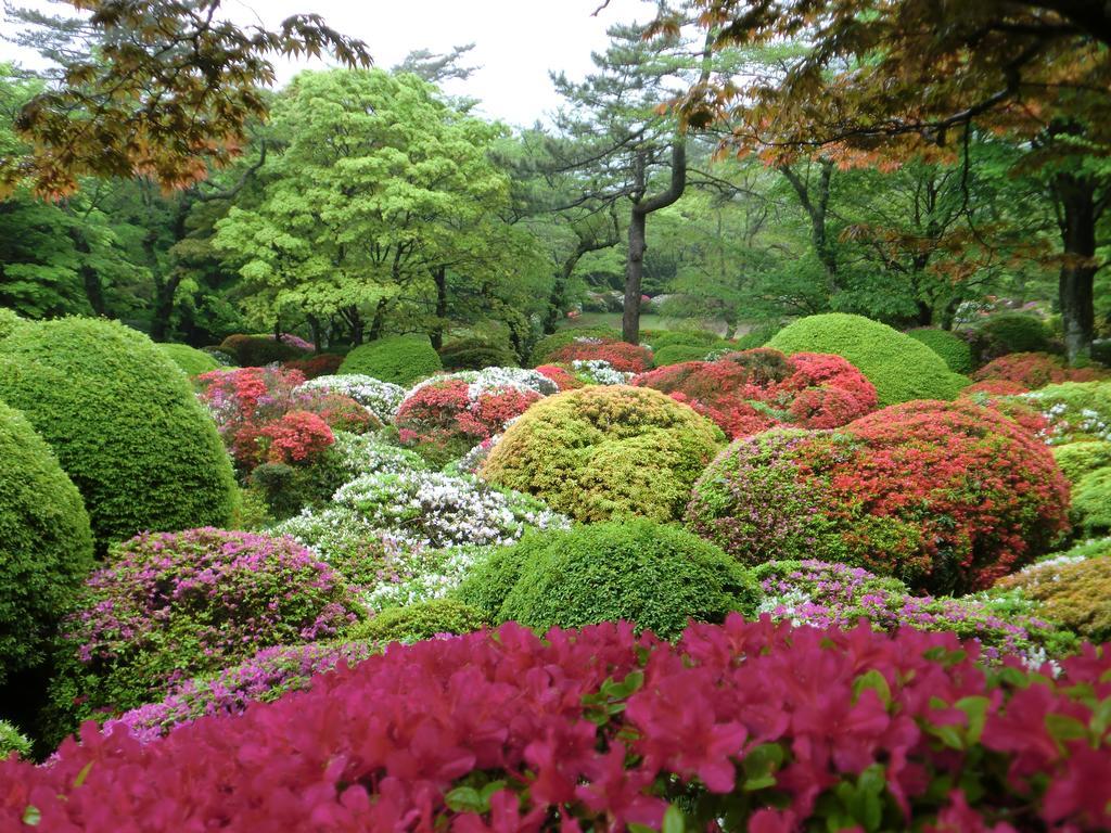 Hakone Kowakien Miyamafurin Ξενοδοχείο Εξωτερικό φωτογραφία