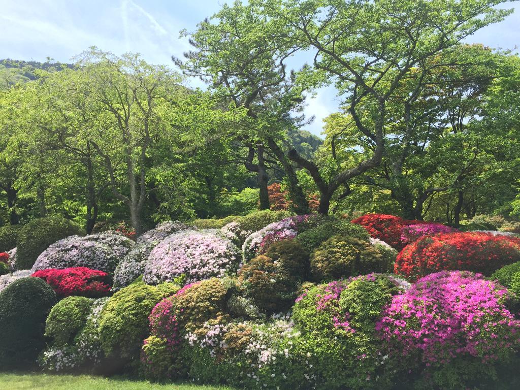 Hakone Kowakien Miyamafurin Ξενοδοχείο Εξωτερικό φωτογραφία