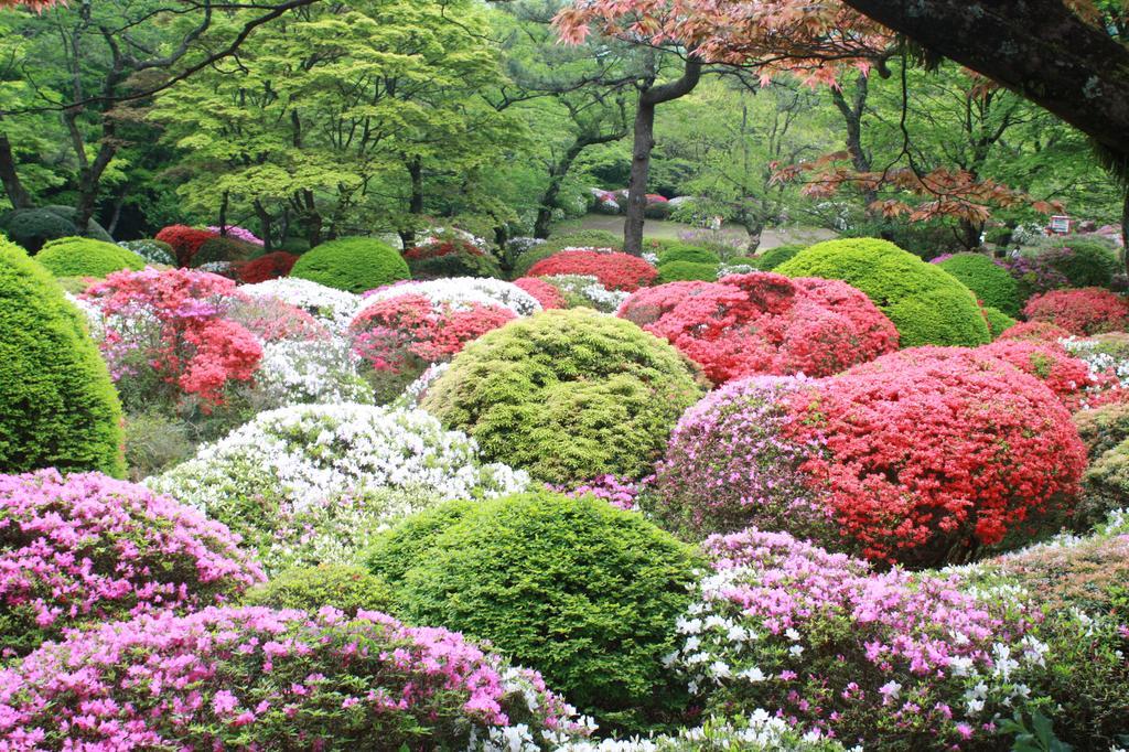 Hakone Kowakien Miyamafurin Ξενοδοχείο Εξωτερικό φωτογραφία