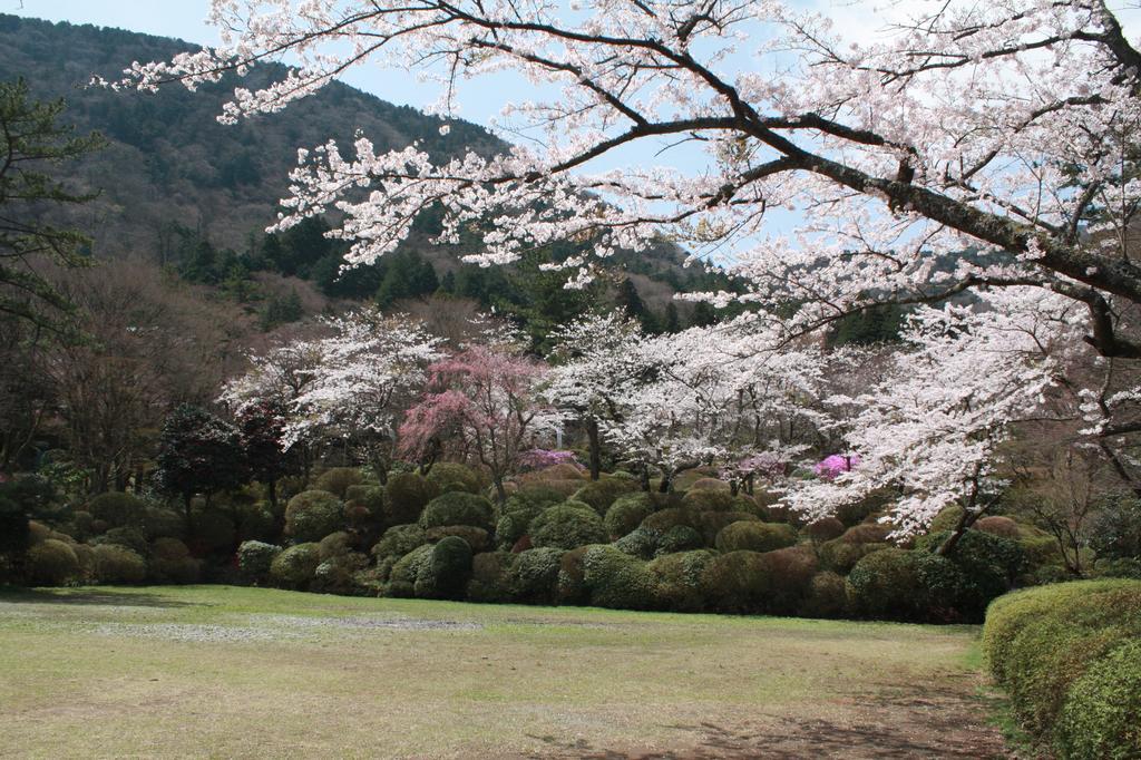 Hakone Kowakien Miyamafurin Ξενοδοχείο Εξωτερικό φωτογραφία